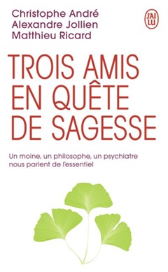 Trois amis en quête de sagesse